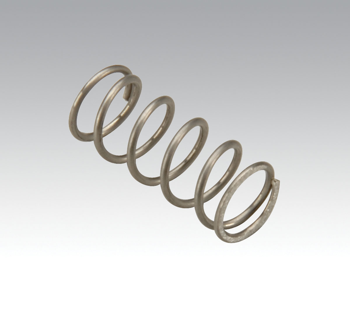 Valve Spring