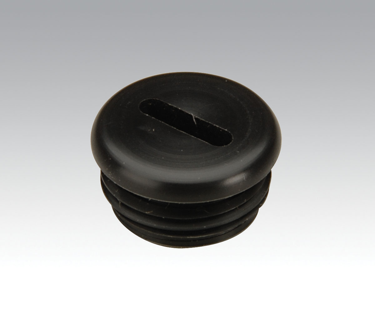 Throttle Valve Plug